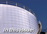 In This Issue